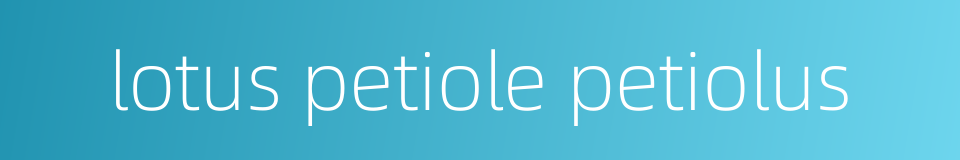 lotus petiole petiolus的同义词