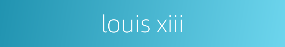 louis xiii的同义词