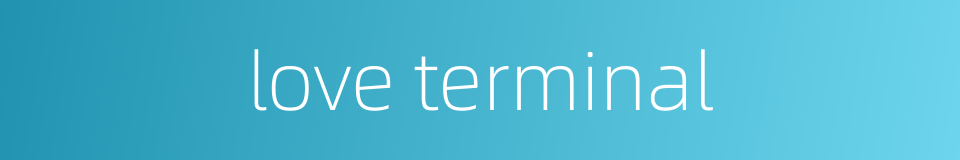 love terminal的同义词