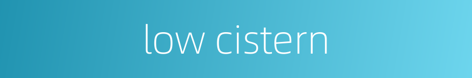 low cistern的同义词