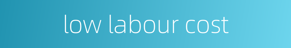 low labour cost的同义词
