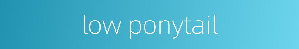 low ponytail的同义词