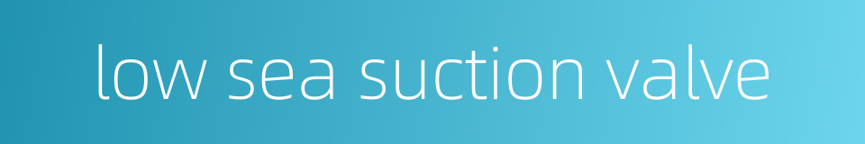low sea suction valve的同义词