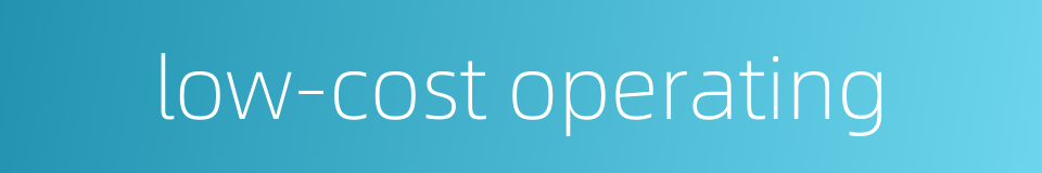 low-cost operating的同义词