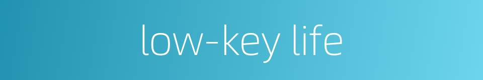 low-key life的同义词