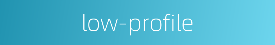 low-profile的同义词