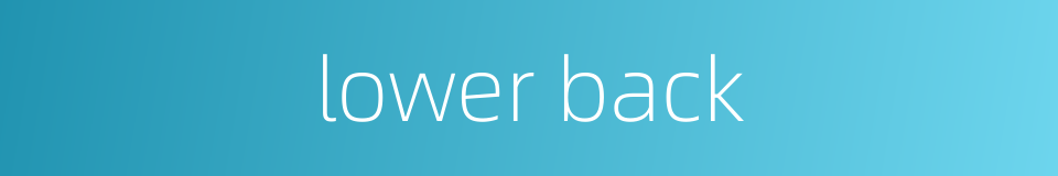 lower back的同义词