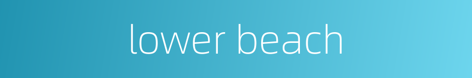 lower beach的同义词