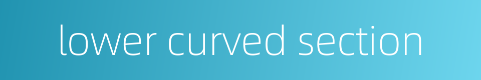lower curved section的同义词