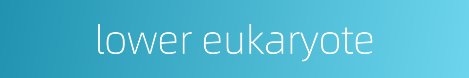 lower eukaryote的同义词