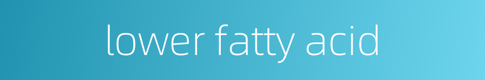 lower fatty acid的同义词