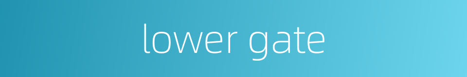 lower gate的同义词