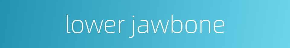 lower jawbone的同义词