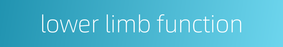 lower limb function的同义词