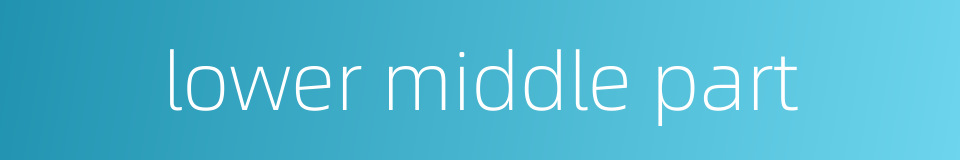 lower middle part的同义词