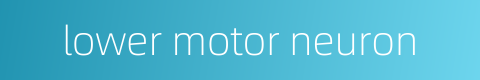 lower motor neuron的同义词