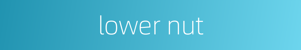 lower nut的同义词