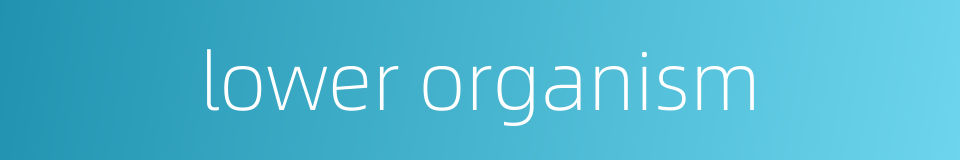 lower organism的同义词