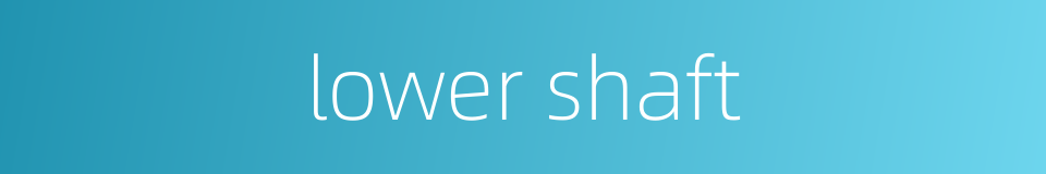 lower shaft的同义词