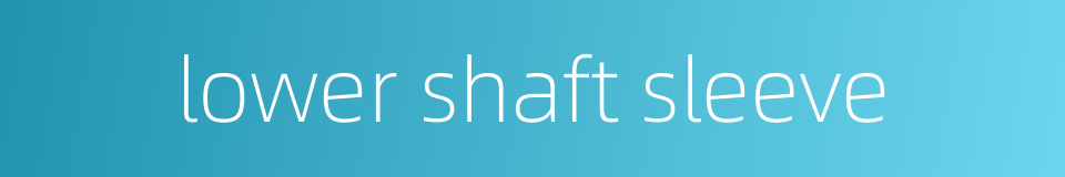lower shaft sleeve的同义词