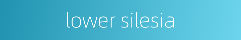 lower silesia的同义词