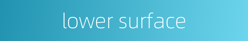 lower surface的同义词