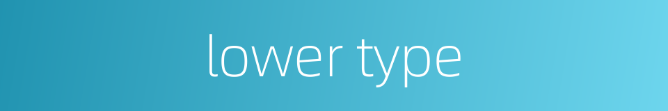 lower type的同义词
