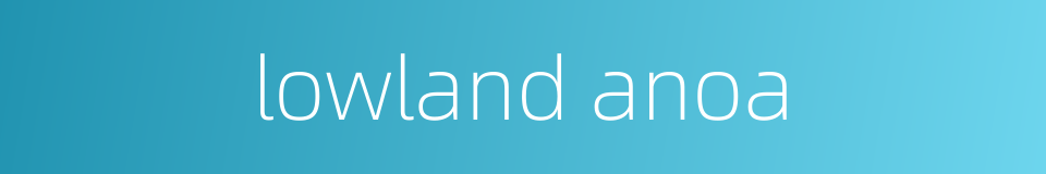 lowland anoa的同义词