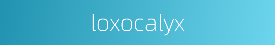 loxocalyx的同义词