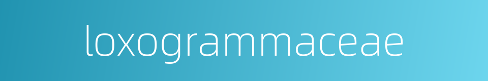 loxogrammaceae的同义词