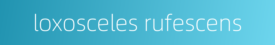 loxosceles rufescens的同义词