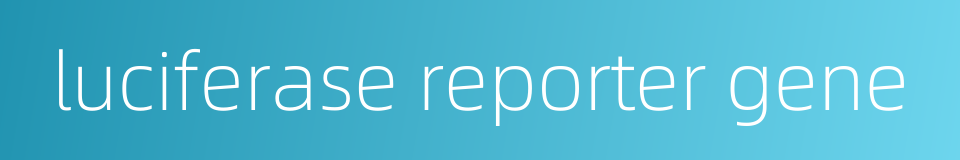 luciferase reporter gene的同义词