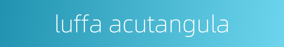luffa acutangula的同义词