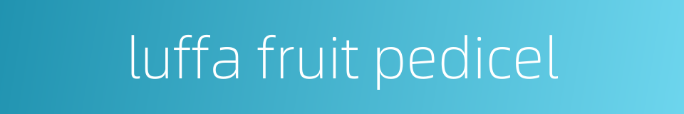 luffa fruit pedicel的同义词