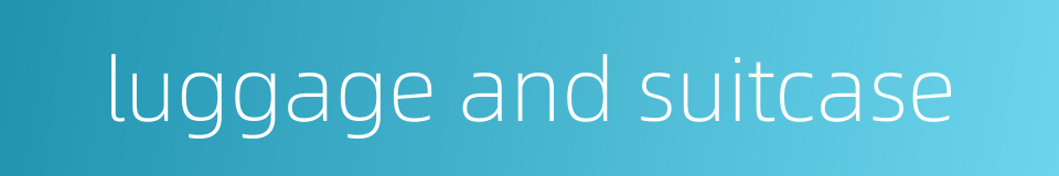 luggage and suitcase的同义词