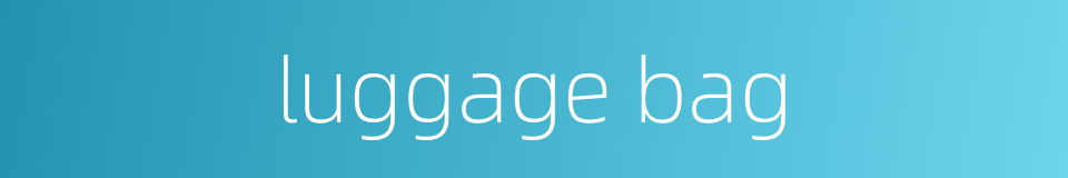 luggage bag的同义词