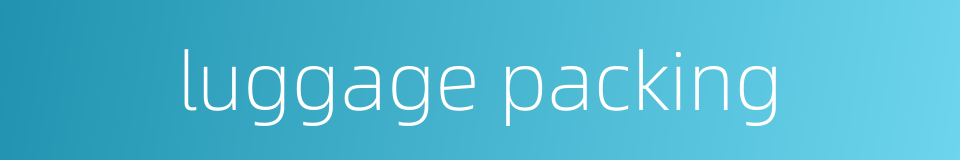 luggage packing的同义词