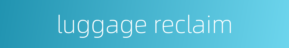 luggage reclaim的同义词