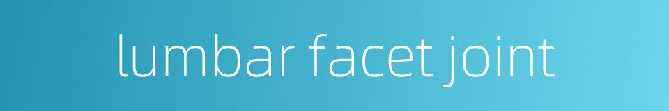 lumbar facet joint的同义词