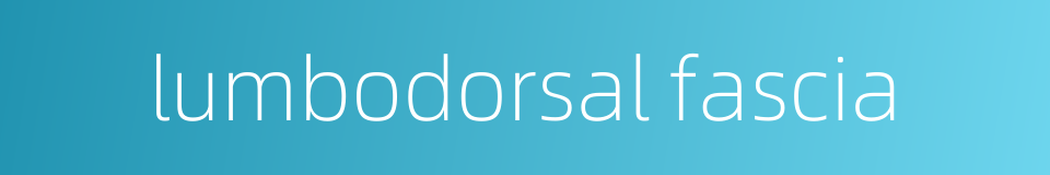 lumbodorsal fascia的同义词