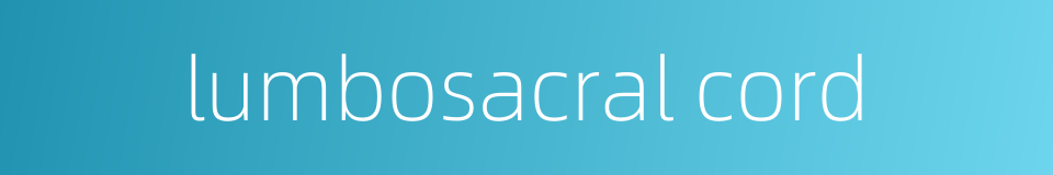 lumbosacral cord的同义词