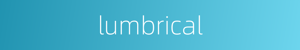 lumbrical的同义词
