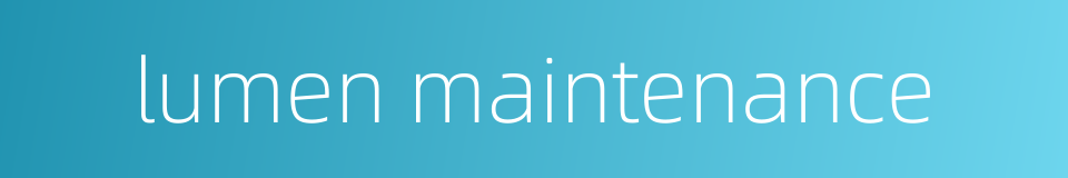 lumen maintenance的同义词