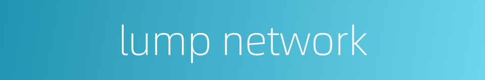 lump network的同义词