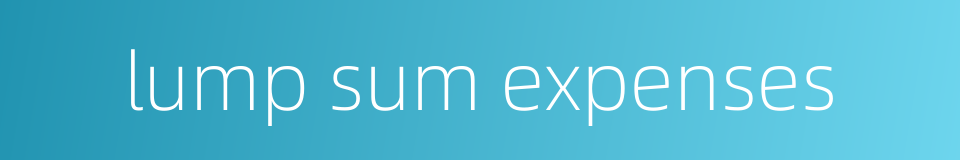 lump sum expenses的同义词