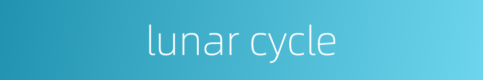 lunar cycle的同义词
