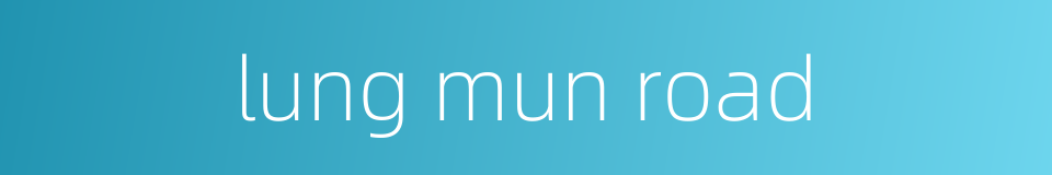 lung mun road的同义词