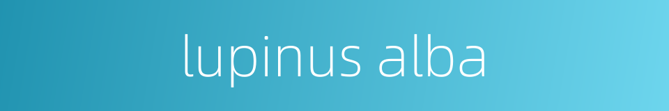 lupinus alba的同义词