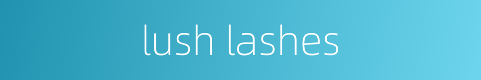 lush lashes的同义词