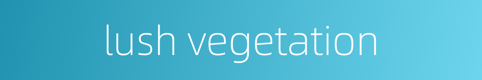 lush vegetation的同义词